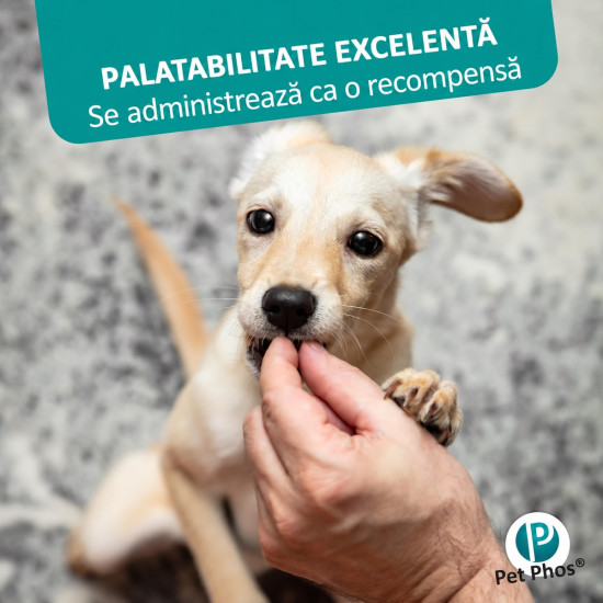 Pet Phos Croissance Junior Ceva – Supliment Vitamino-Mineral pentru Câini în Creștere – 100 Tablete